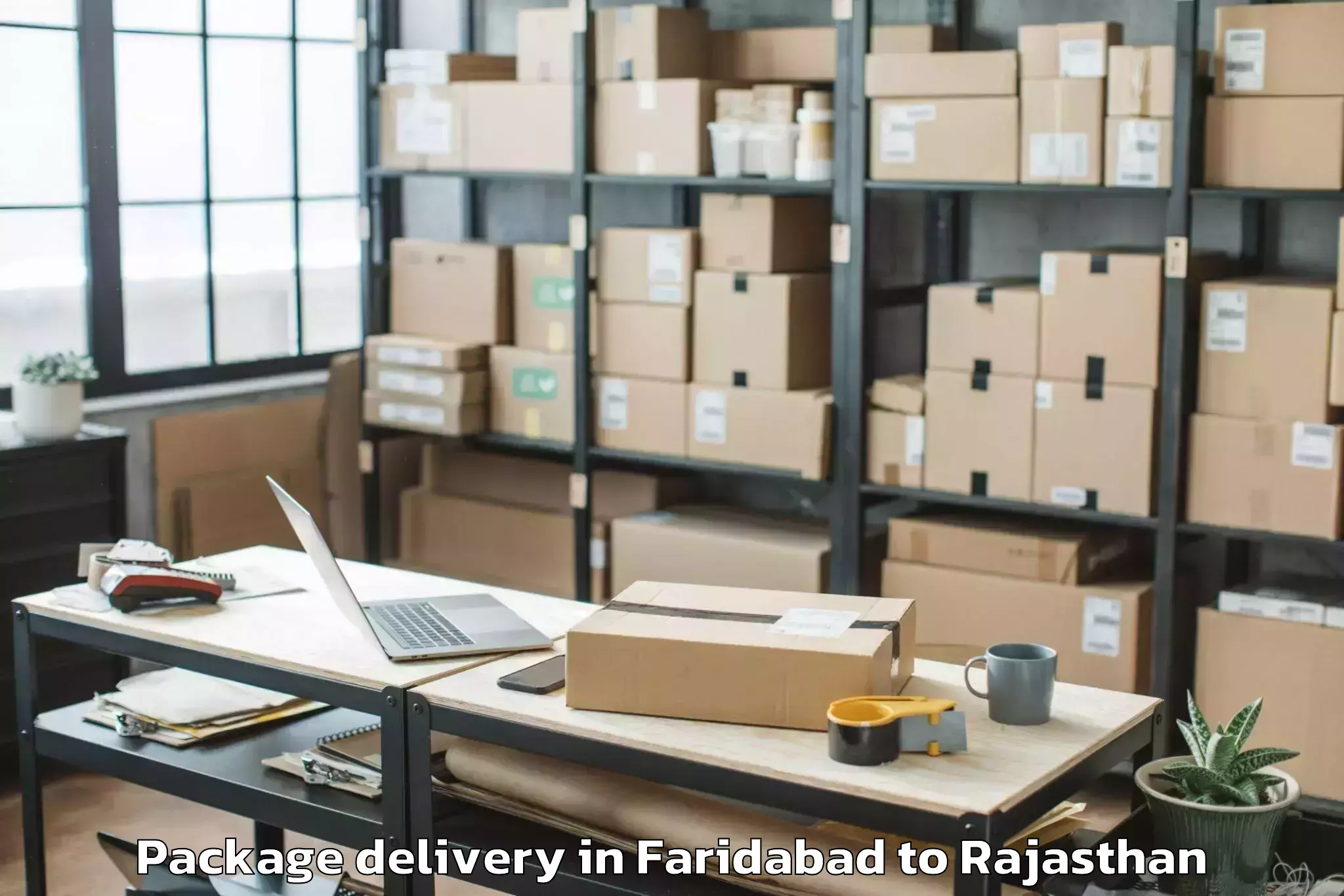 Book Faridabad to Gangapur Bhilwara Package Delivery